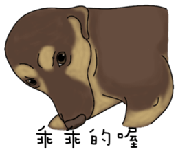 Boss Choco sticker #10792606