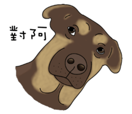 Boss Choco sticker #10792607