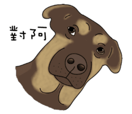 Boss Choco sticker #10792607