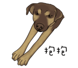 Boss Choco sticker #10792609