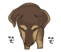 Boss Choco sticker #10792611