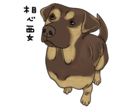 Boss Choco sticker #10792615