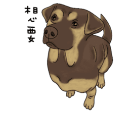 Boss Choco sticker #10792615