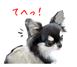 Everyday of Chihuahua. It cute. sticker #10793507