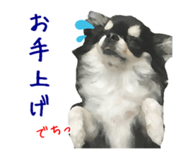 Everyday of Chihuahua. It cute. sticker #10793515