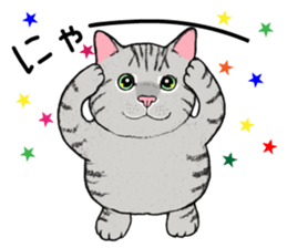 Cat sticker . sticker #10796216