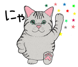 Cat sticker . sticker #10796217
