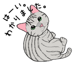 Cat sticker . sticker #10796221