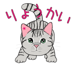 Cat sticker . sticker #10796222