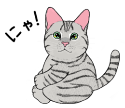 Cat sticker . sticker #10796223