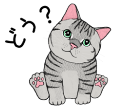 Cat sticker . sticker #10796224