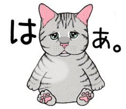 Cat sticker . sticker #10796227
