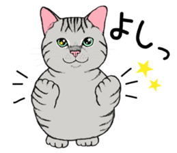 Cat sticker . sticker #10796232
