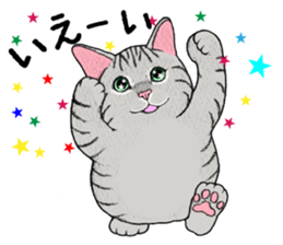 Cat sticker . sticker #10796234