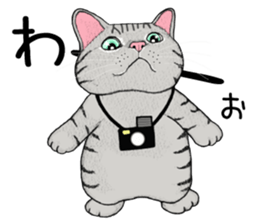 Cat sticker . sticker #10796237