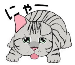 Cat sticker . sticker #10796241