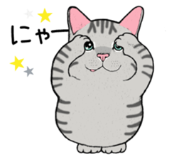 Cat sticker . sticker #10796245