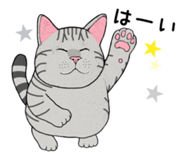 Cat sticker . sticker #10796248