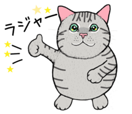 Cat sticker . sticker #10796249
