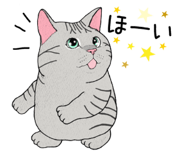 Cat sticker . sticker #10796250