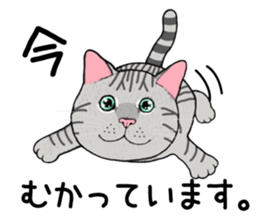 Cat sticker . sticker #10796252