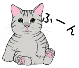 Cat sticker . sticker #10796254
