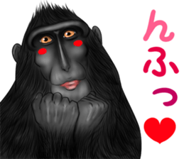 black macaque monkey Sticker sticker #10797097
