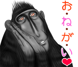 black macaque monkey Sticker sticker #10797099
