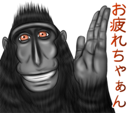 black macaque monkey Sticker sticker #10797101