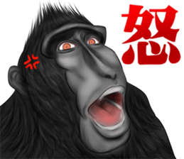 black macaque monkey Sticker sticker #10797106
