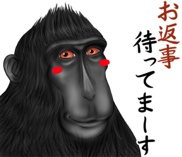 black macaque monkey Sticker sticker #10797109