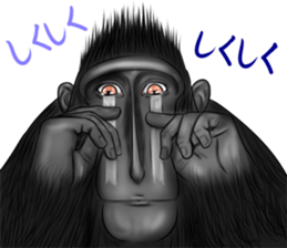 black macaque monkey Sticker sticker #10797111