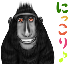 black macaque monkey Sticker sticker #10797116