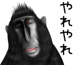 black macaque monkey Sticker sticker #10797118