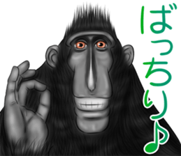 black macaque monkey Sticker sticker #10797129