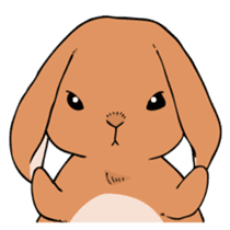 A sharp-tongued cute rabbit. sticker #10797355