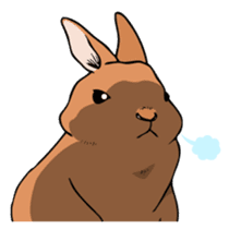 A sharp-tongued cute rabbit. sticker #10797365