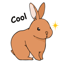 A sharp-tongued cute rabbit. sticker #10797366