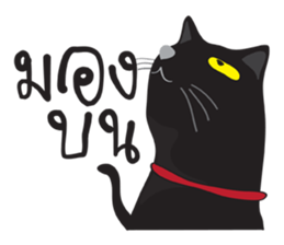 Bad Maew Black Cat sticker #10798186