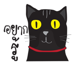 Bad Maew Black Cat sticker #10798192