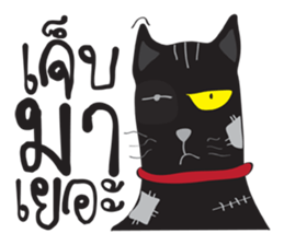 Bad Maew Black Cat sticker #10798207
