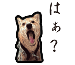Shiba Inu Mame -Superrealism Edition- sticker #10799536