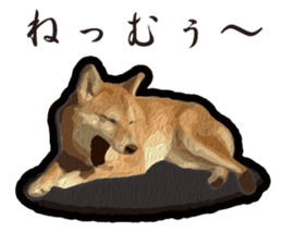 Shiba Inu Mame -Superrealism Edition- sticker #10799537
