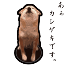 Shiba Inu Mame -Superrealism Edition- sticker #10799538