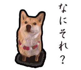 Shiba Inu Mame -Superrealism Edition- sticker #10799540
