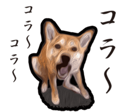 Shiba Inu Mame -Superrealism Edition- sticker #10799541