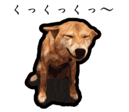 Shiba Inu Mame -Superrealism Edition- sticker #10799546