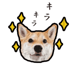 Shiba Inu Mame -Superrealism Edition- sticker #10799550