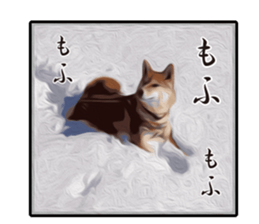 Shiba Inu Mame -Superrealism Edition- sticker #10799566