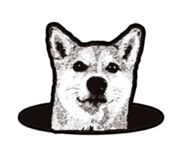Shiba Inu Mame -Superrealism Edition- sticker #10799568